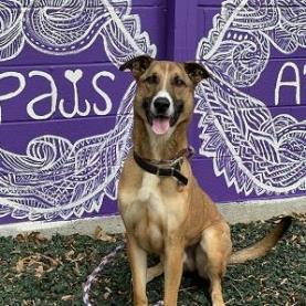 Hot Chocolate (I Have a Secret Crush!) — thumbnail 3