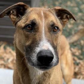 Hot Chocolate (I Have a Secret Crush!) — thumbnail 4