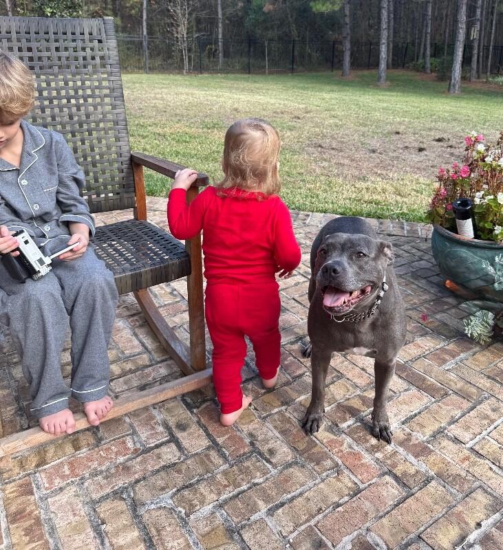 Lola Lovebug your Soulmate on Four Paws — thumbnail 3