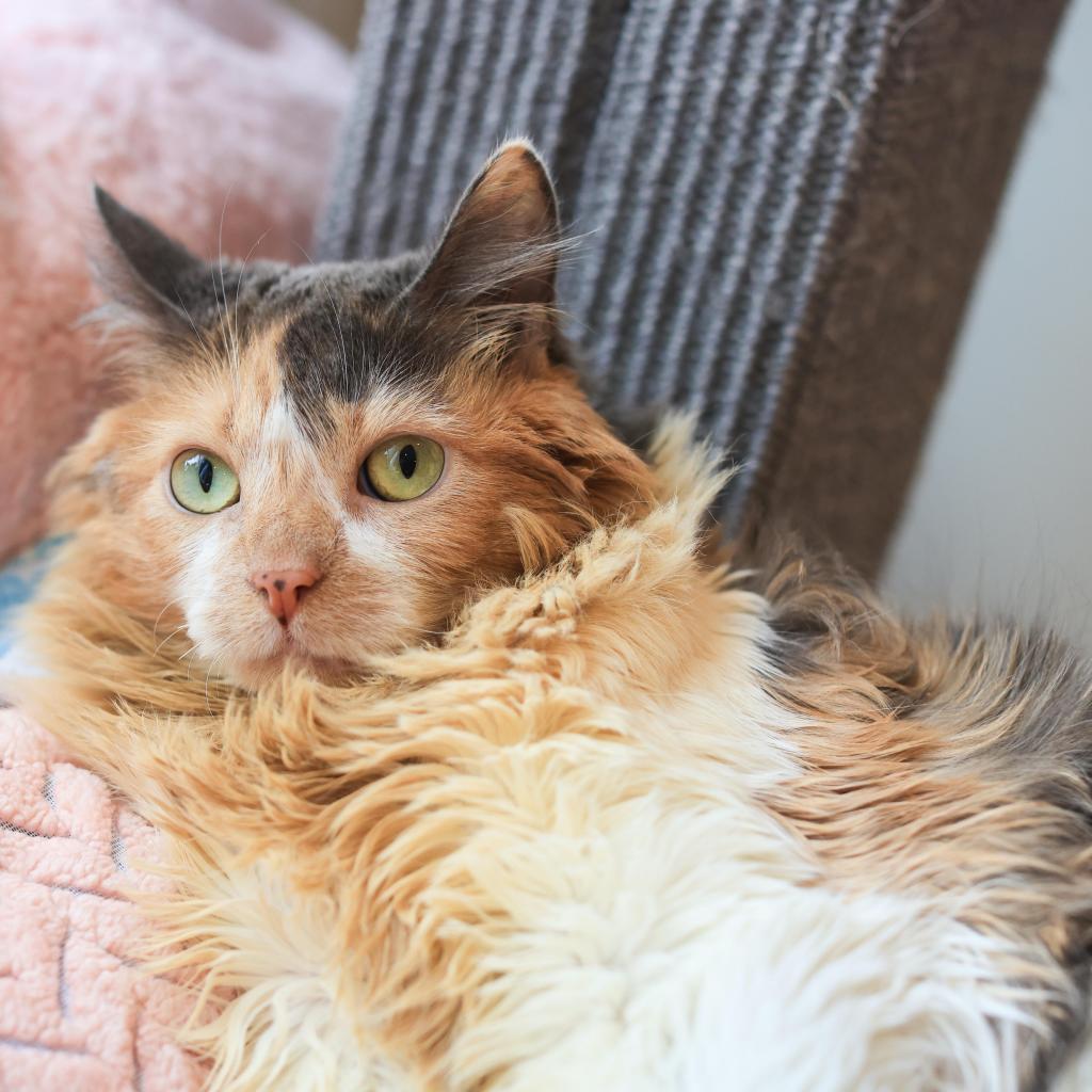 Agatha — thumbnail 3