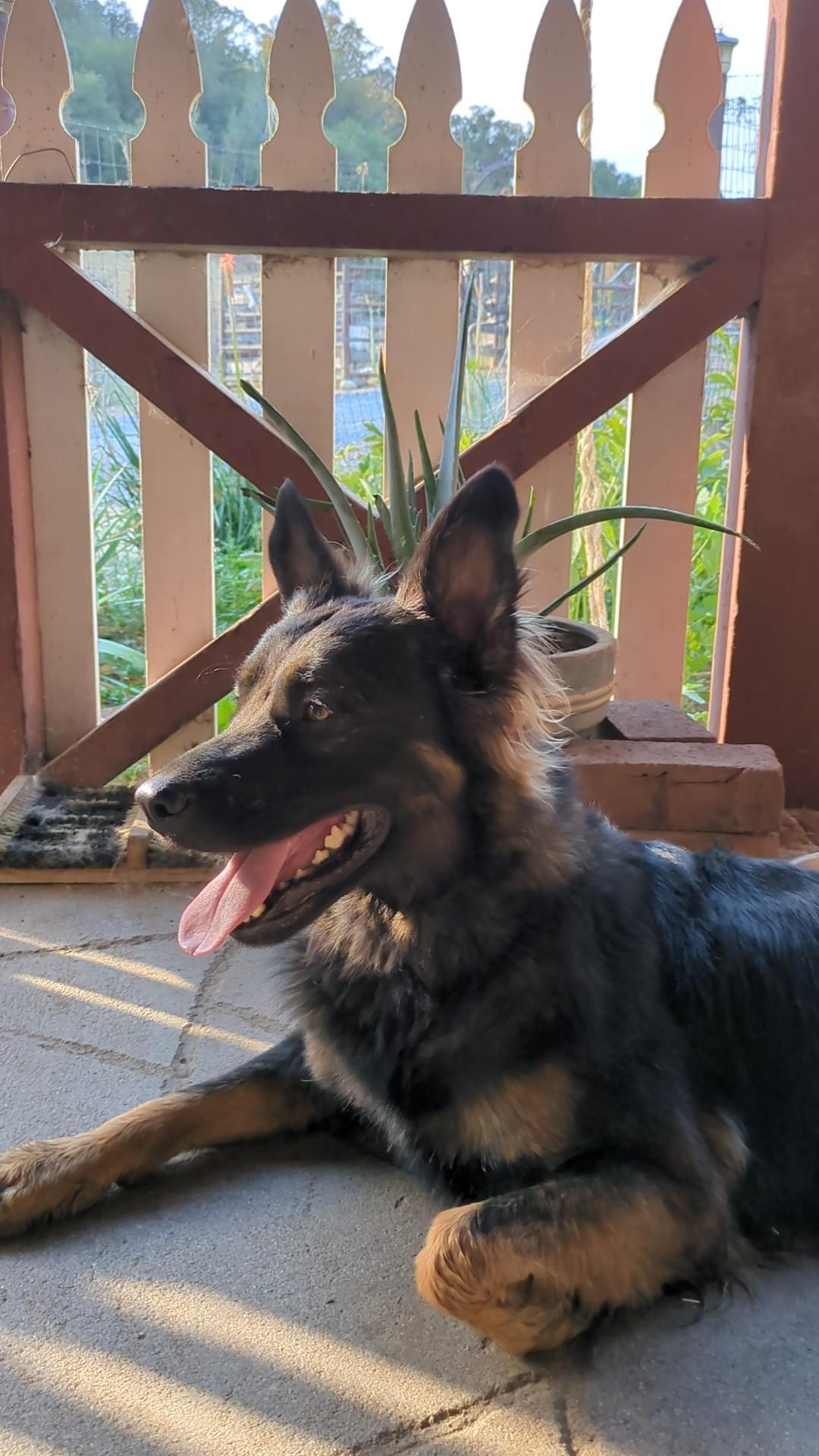 Winnie 0125