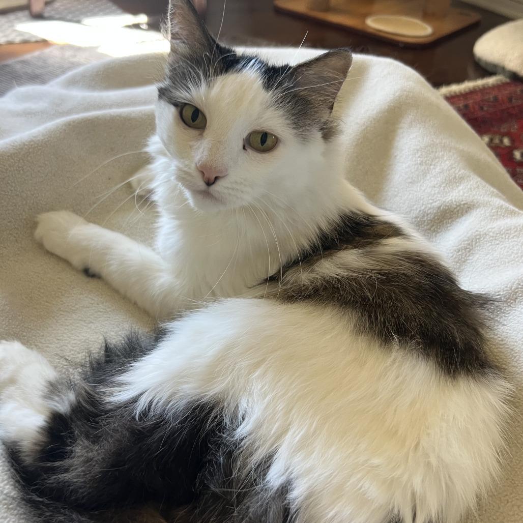 Mima — thumbnail 2