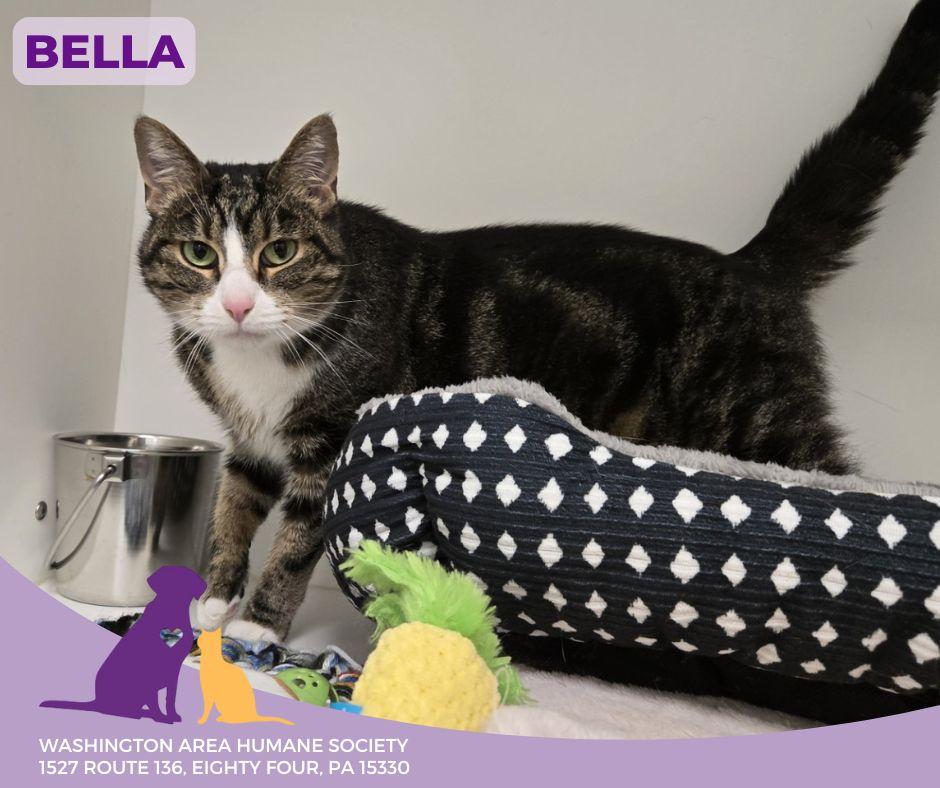 Bella photo 2