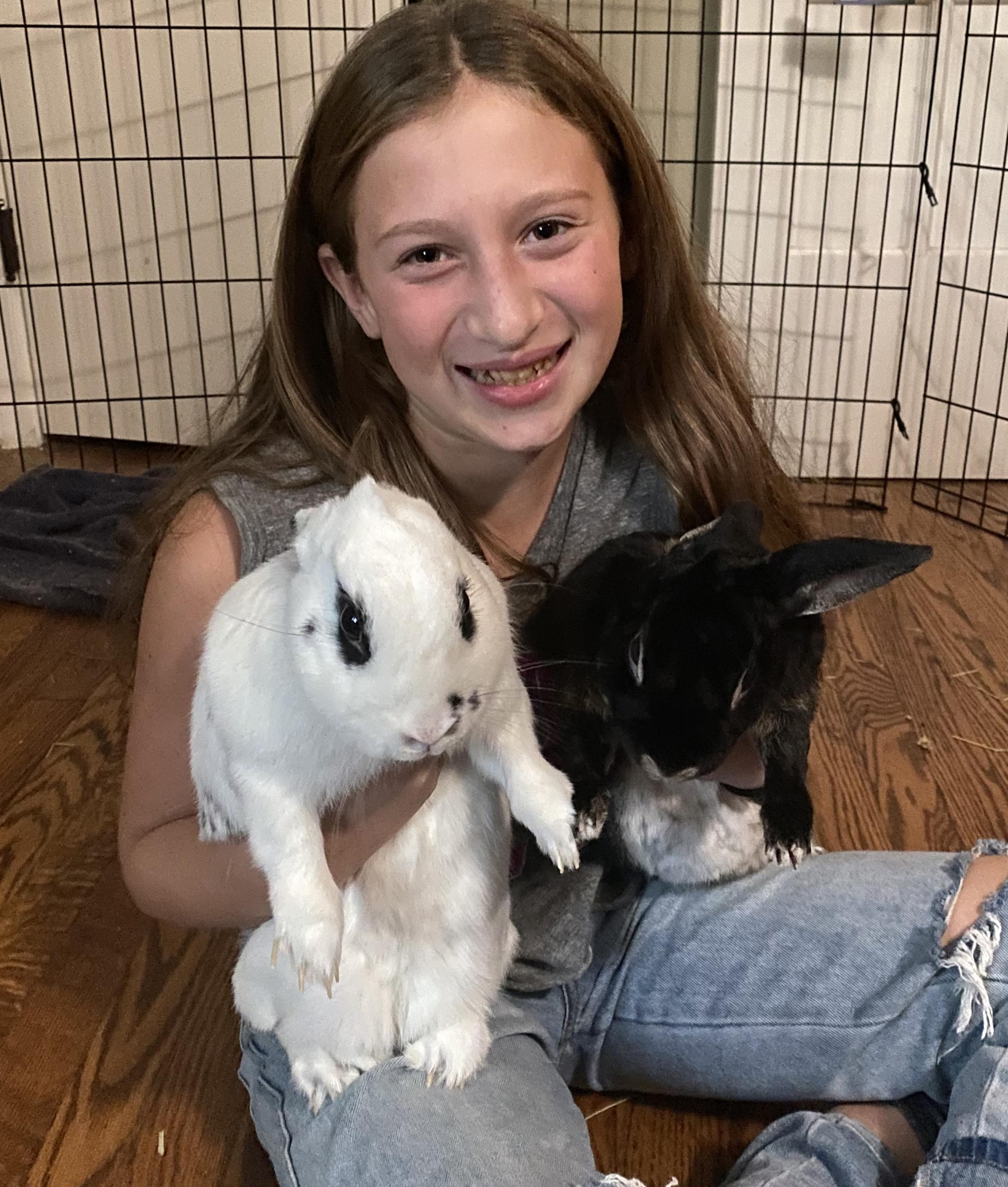 Enlarge Cookies (Rex) and Cream (Hotot)!  BONDED - VIDEO!  SPAYED THERAPY BUNNIES!  Litter trained!, a ADOPTABLE Mini Rex in Bedford Hills, NY image 5/6