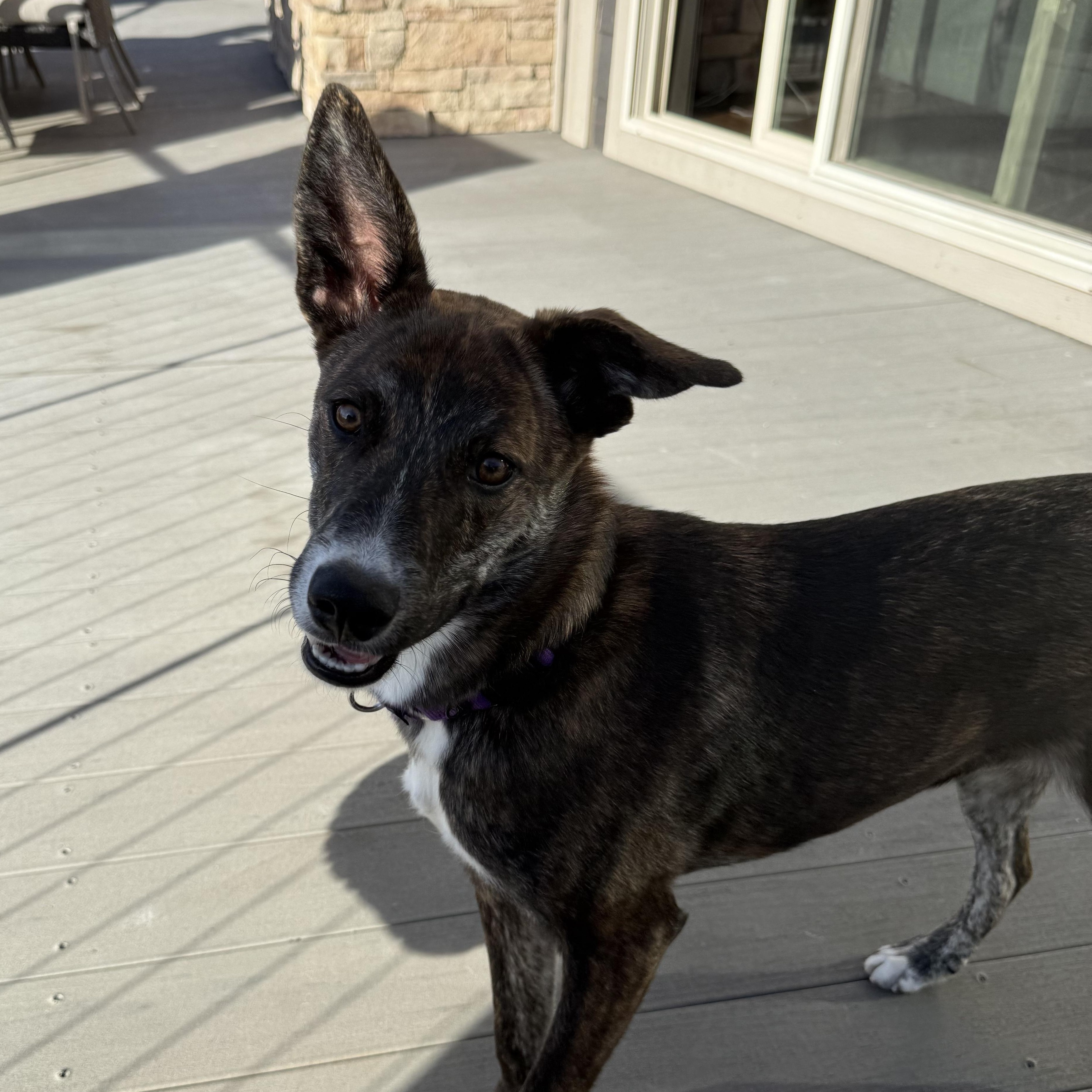 Gretel — thumbnail 2