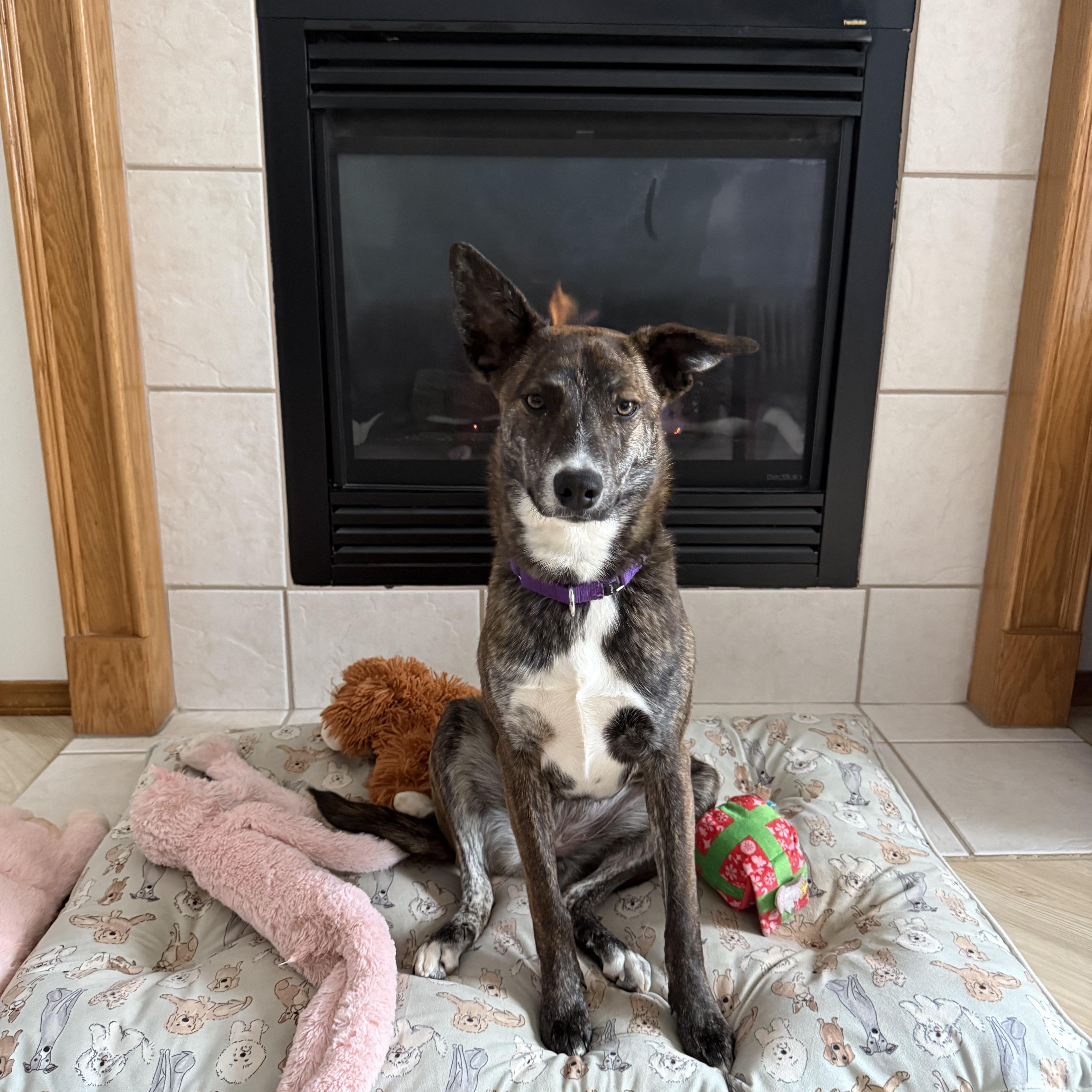 Gretel — thumbnail 3