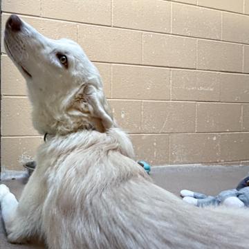 Saturn — thumbnail 2