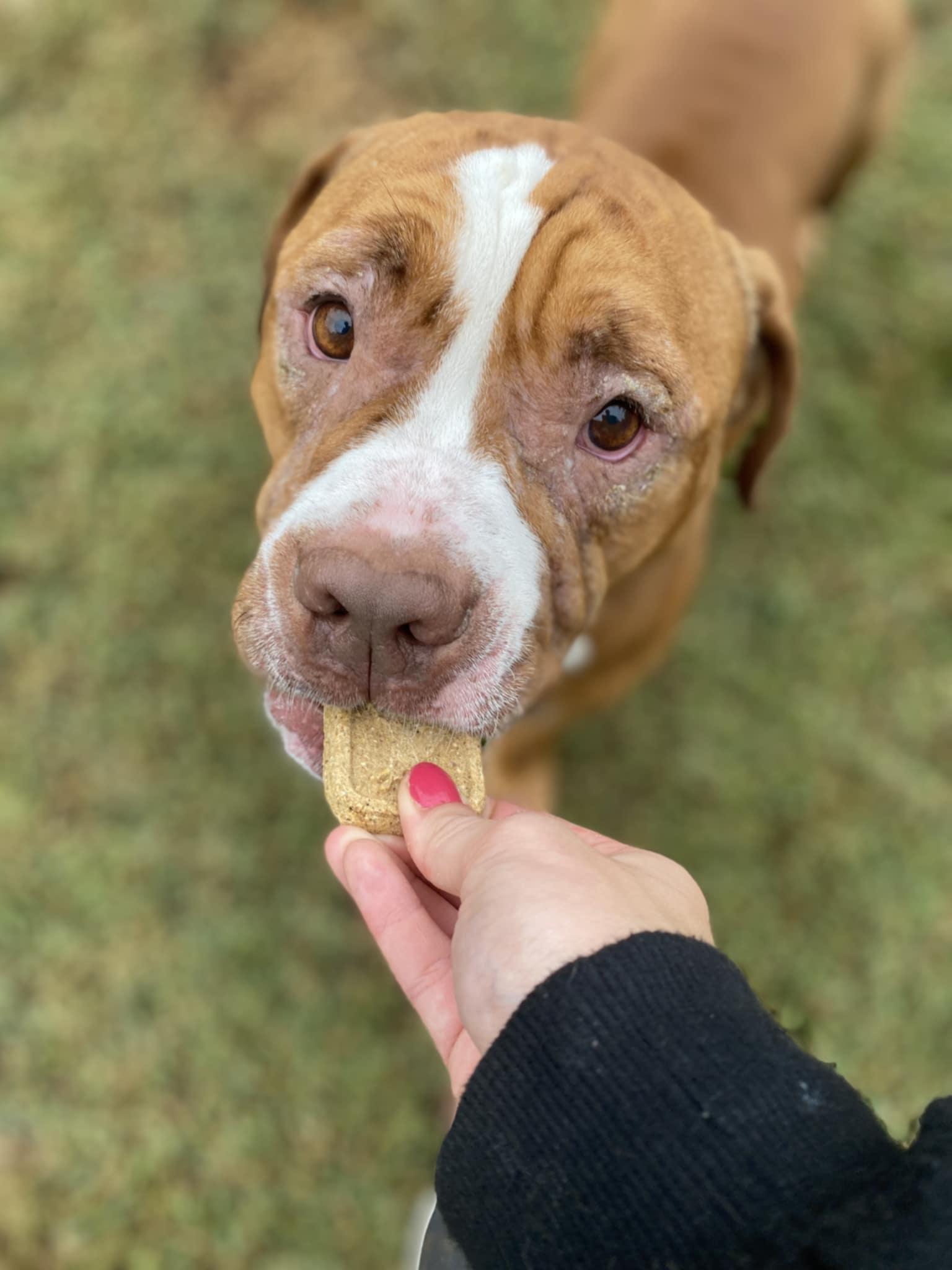 Bowie