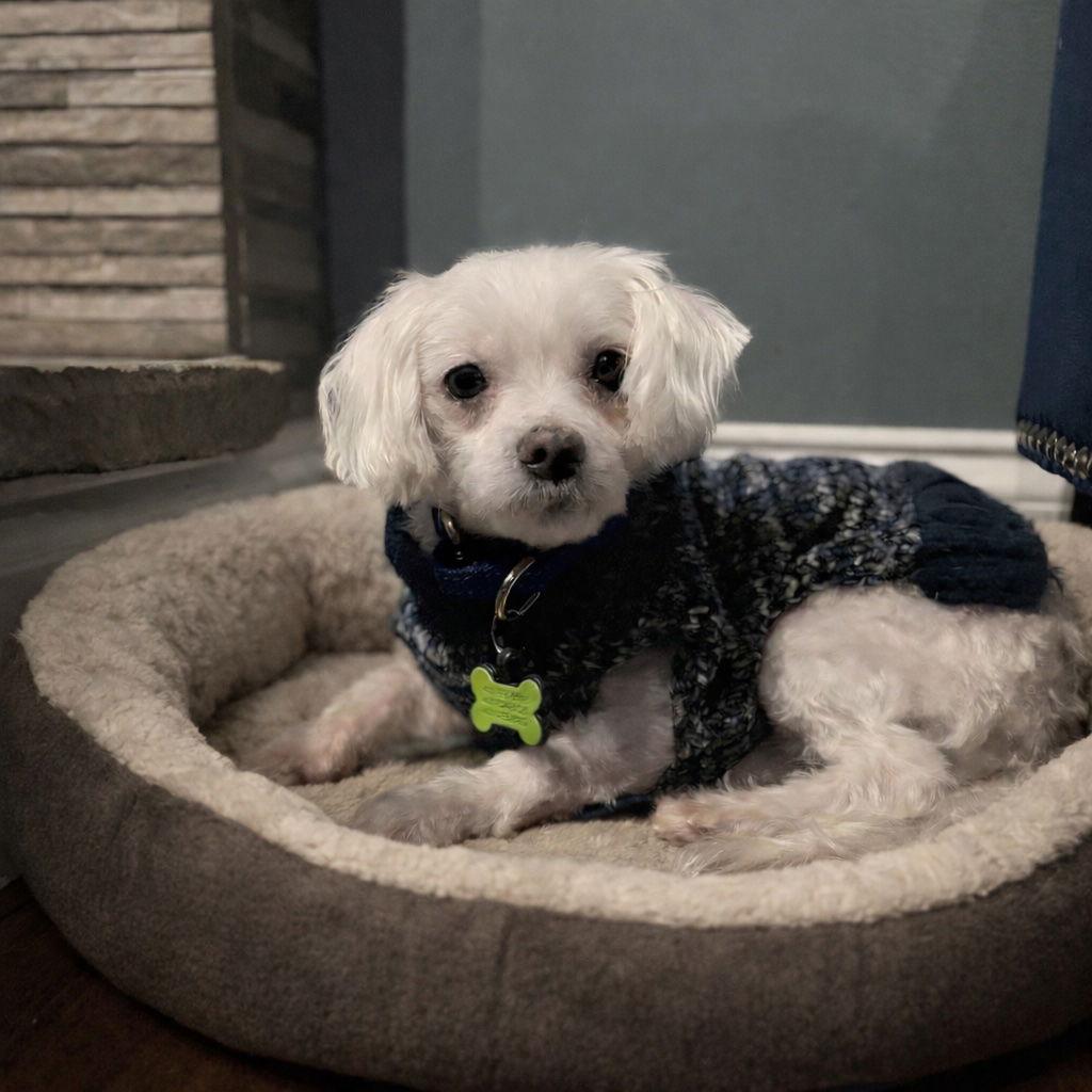 Boomer Gatlin — thumbnail 3