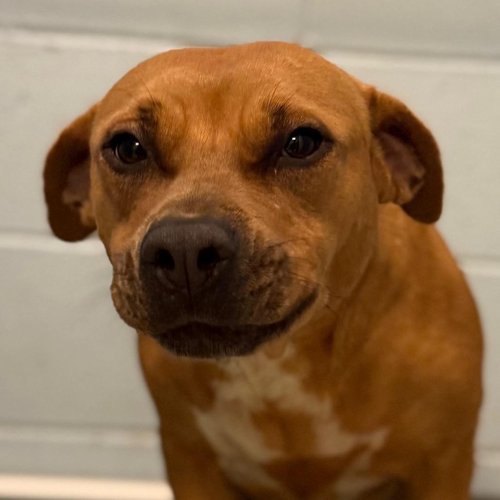 Maryland thumbnail 2