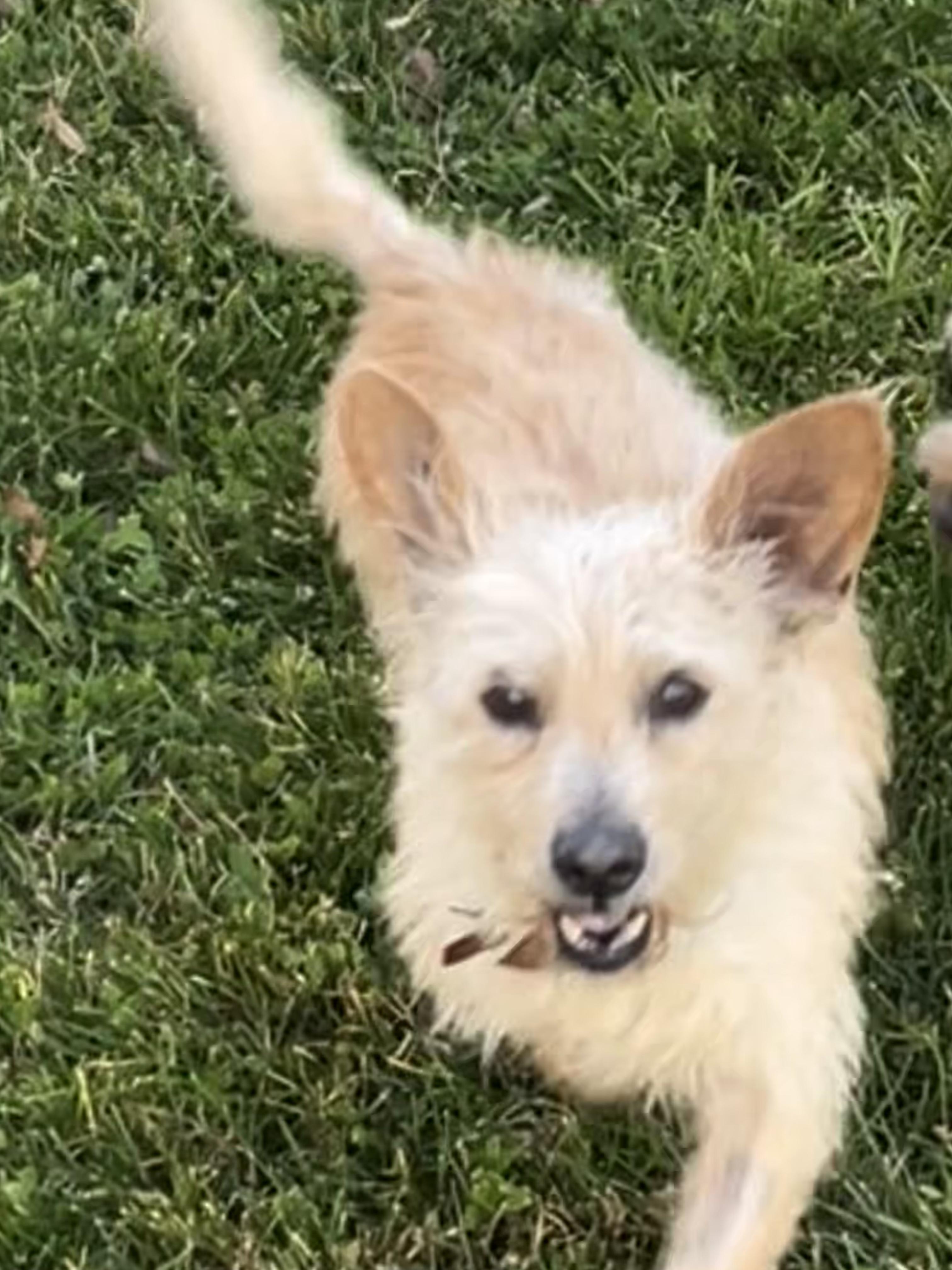 Gloria — thumbnail 5