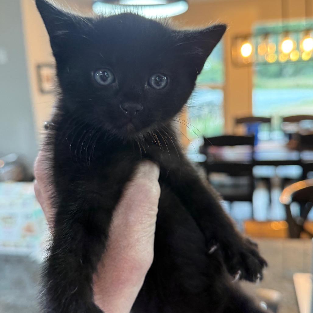 Photo of Nox