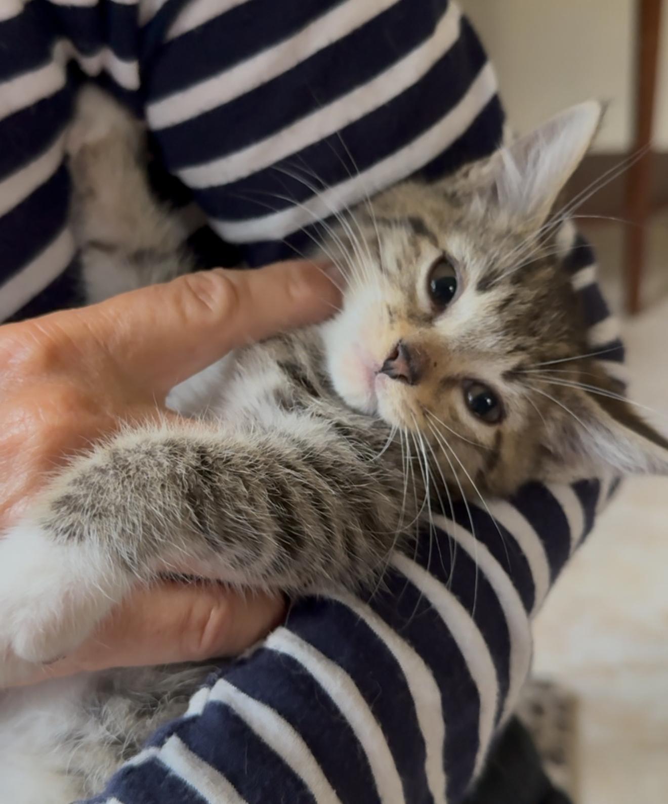 Franklin and Frazier — thumbnail 3