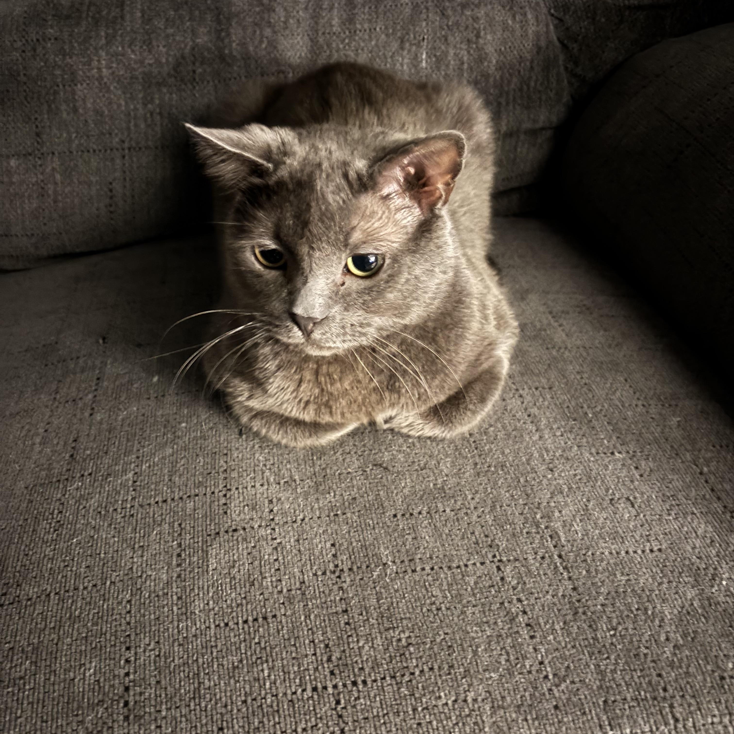 Moonstone — thumbnail 2