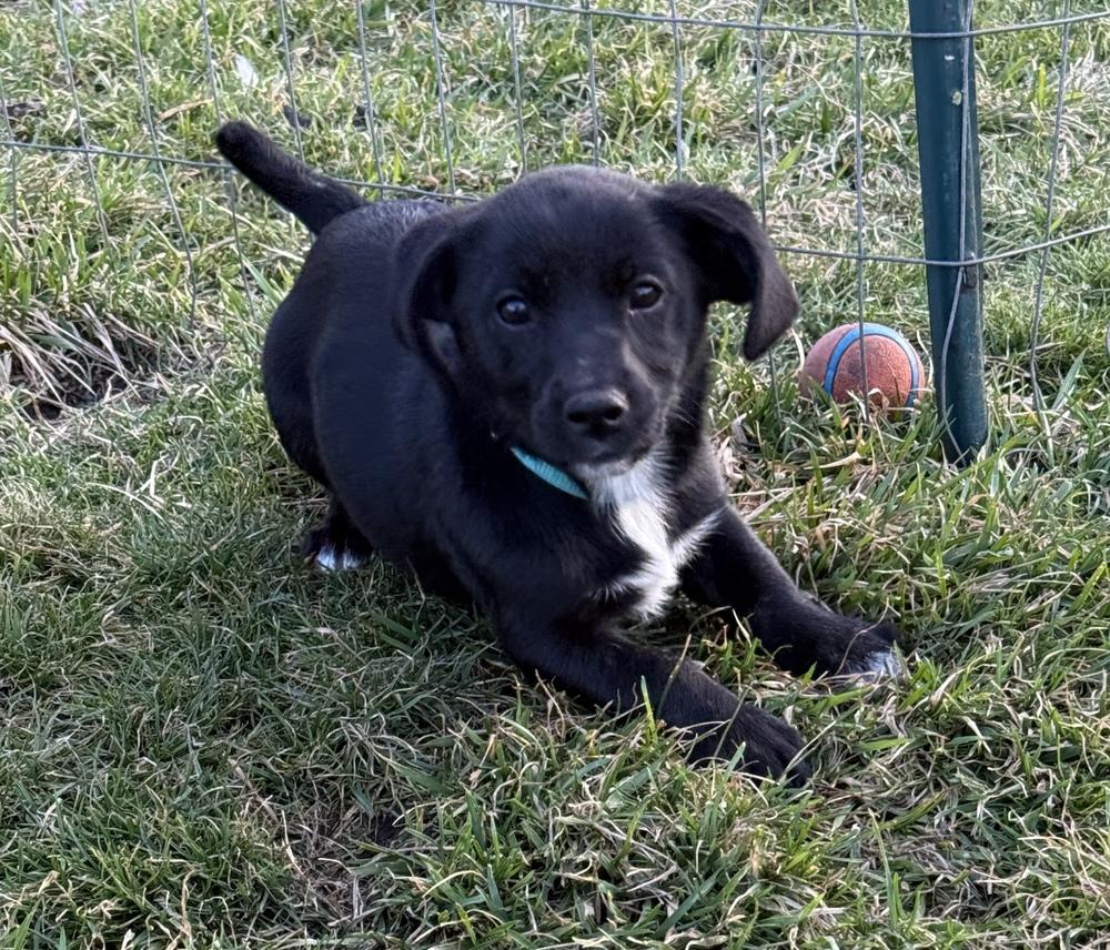 Leia — thumbnail 6