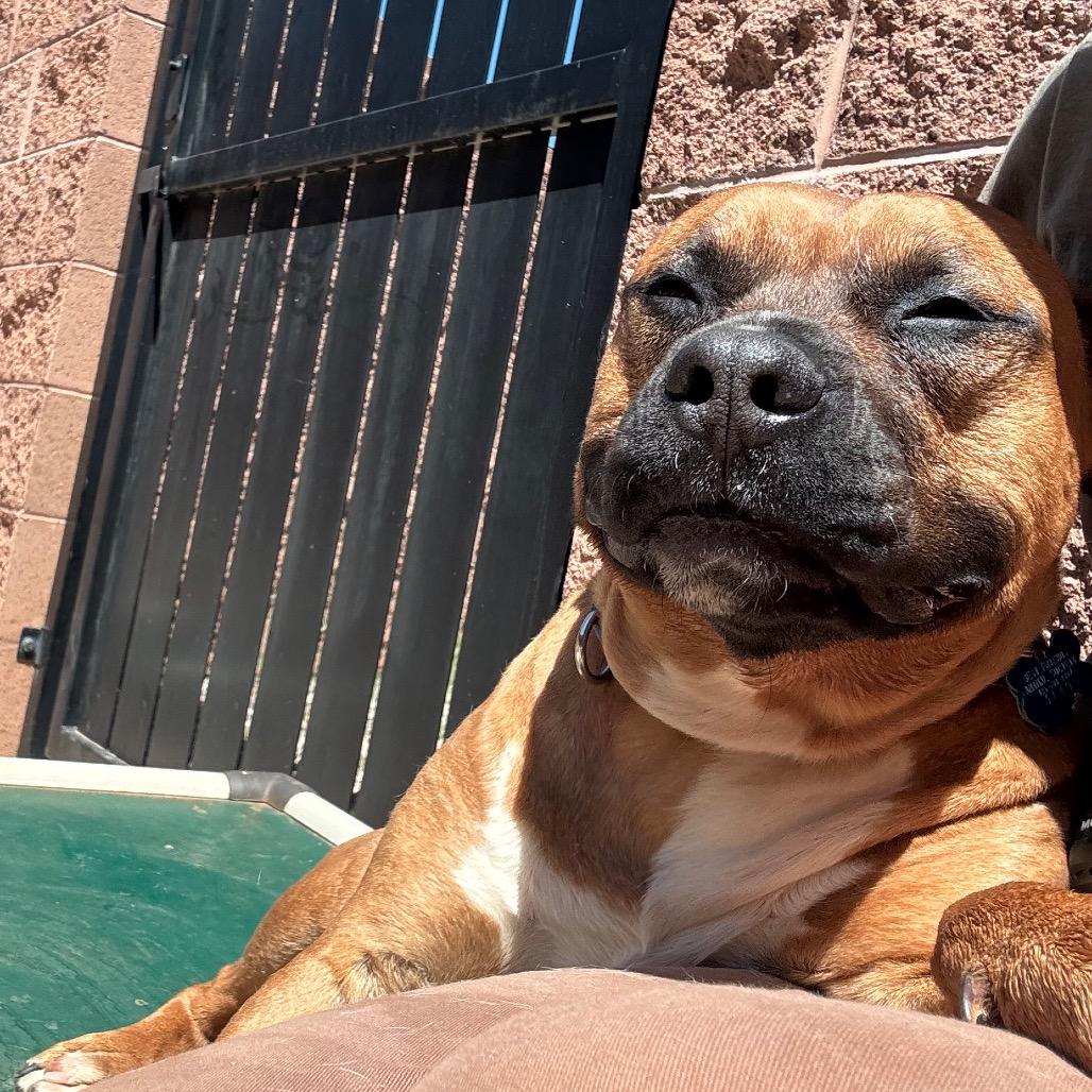 Nigel — thumbnail 5