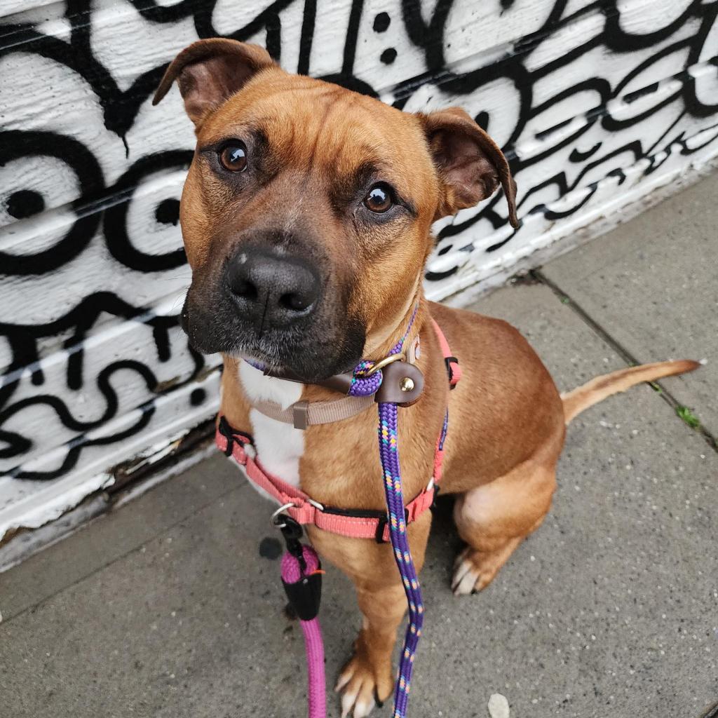 Nigel — thumbnail 6