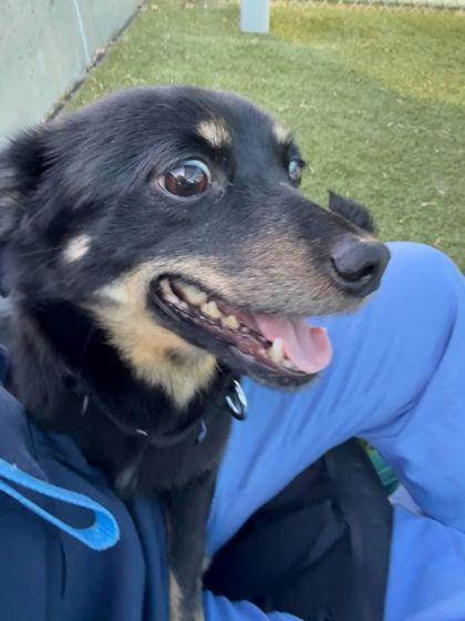 Little — thumbnail 2