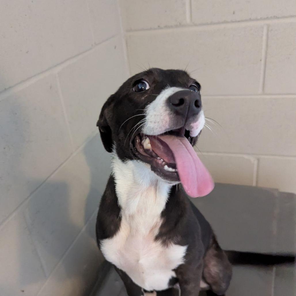 Danielle Marie thumbnail 2