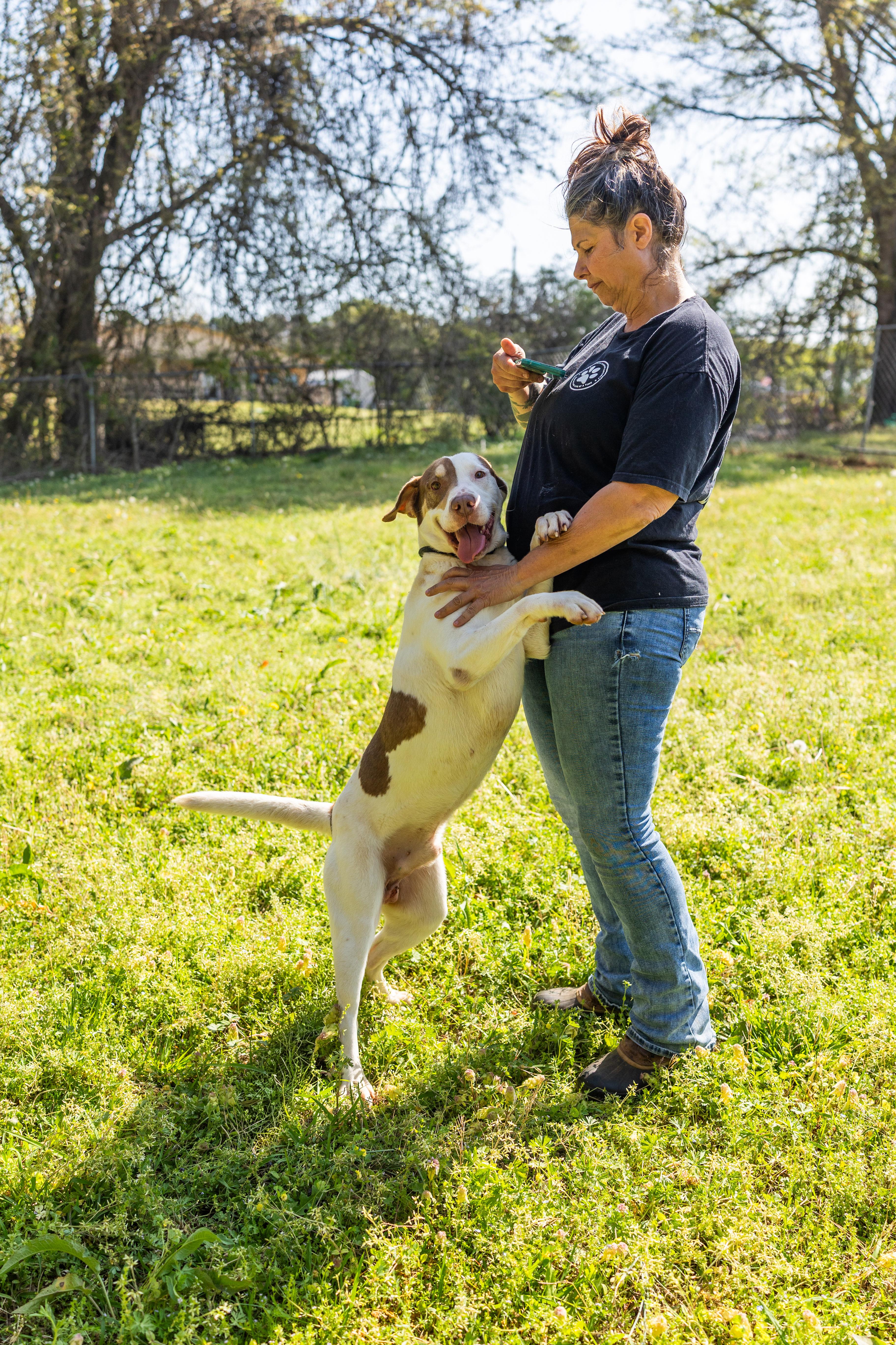 Enlarge PETEY, a ADOPTABLE mixed breed in Newborn, GA image 5/6