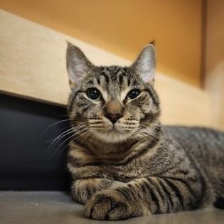 Photo of Sailor