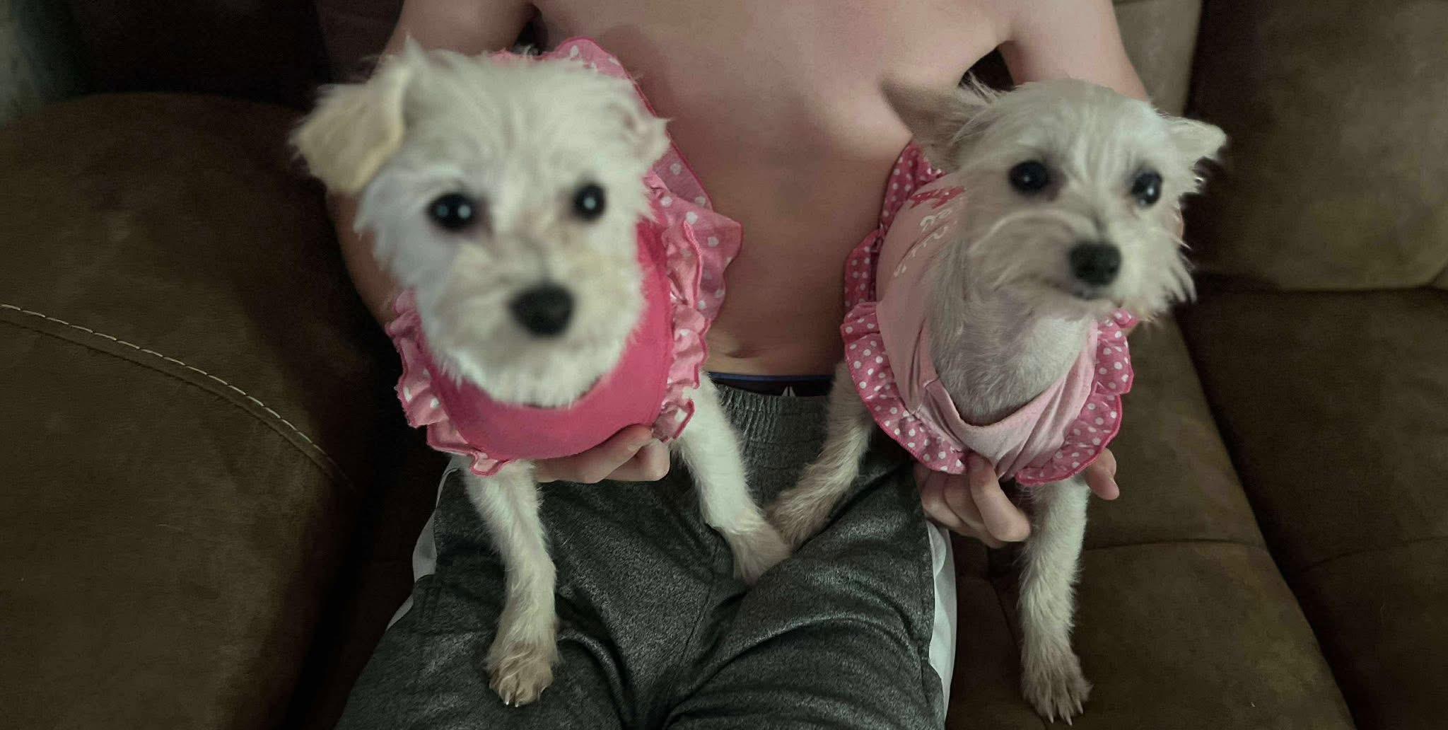 Lucy & Sadie