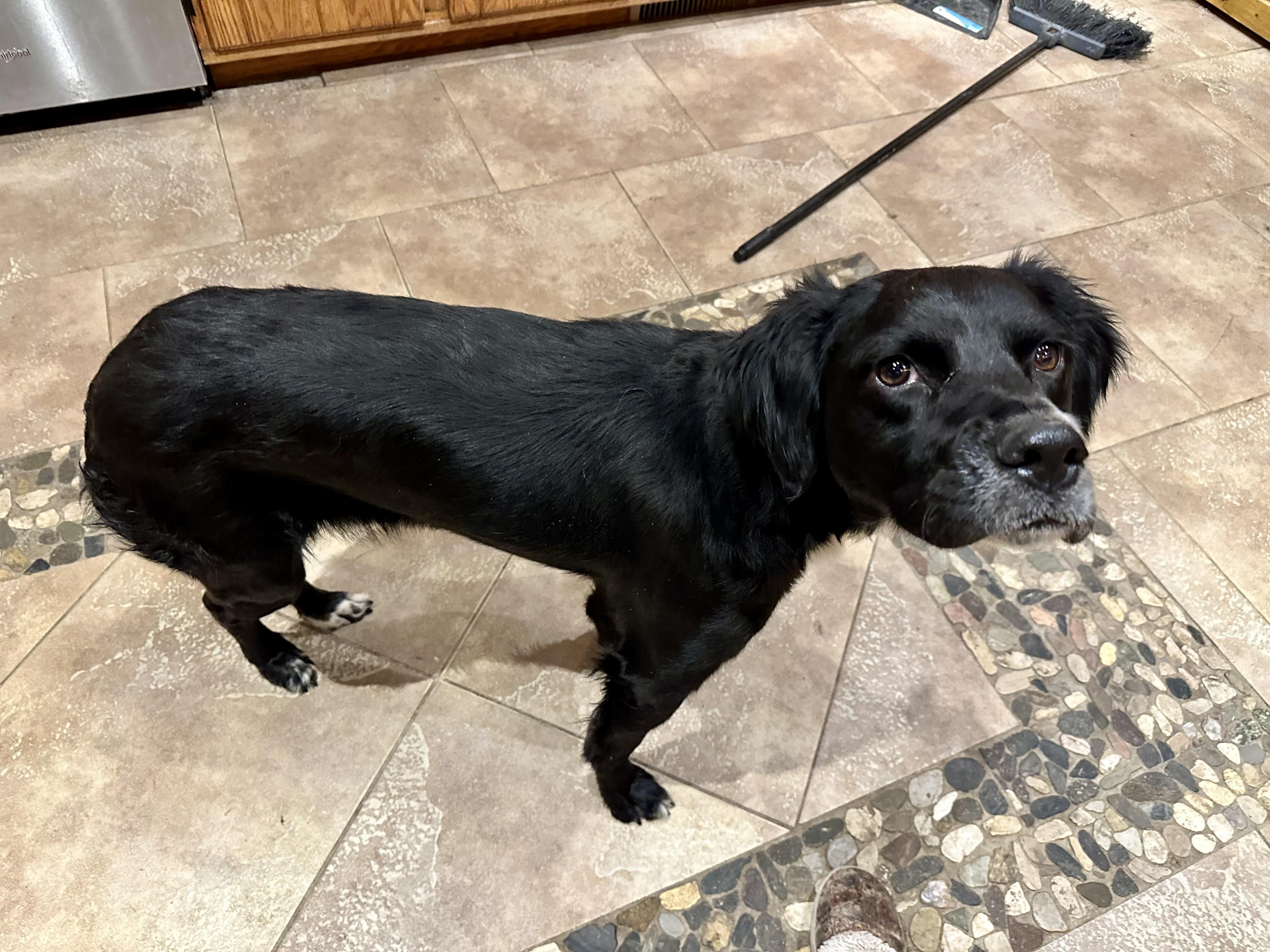 Fantastic Girl!!! thumbnail 2