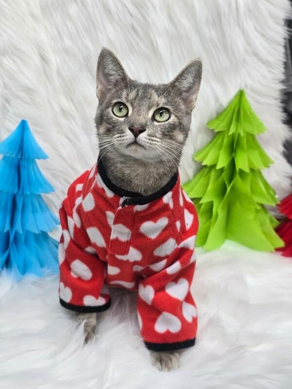 Confetti thumbnail 2