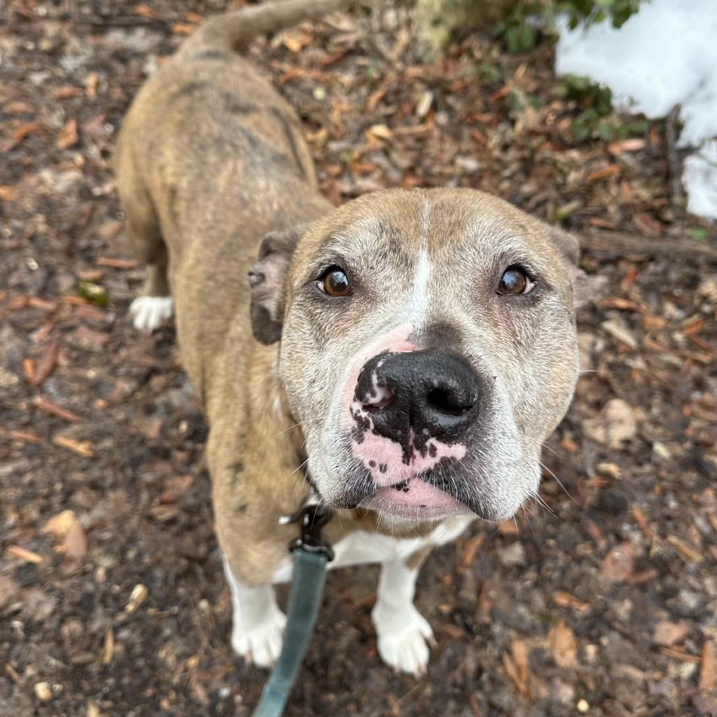 Big Mac — thumbnail 2