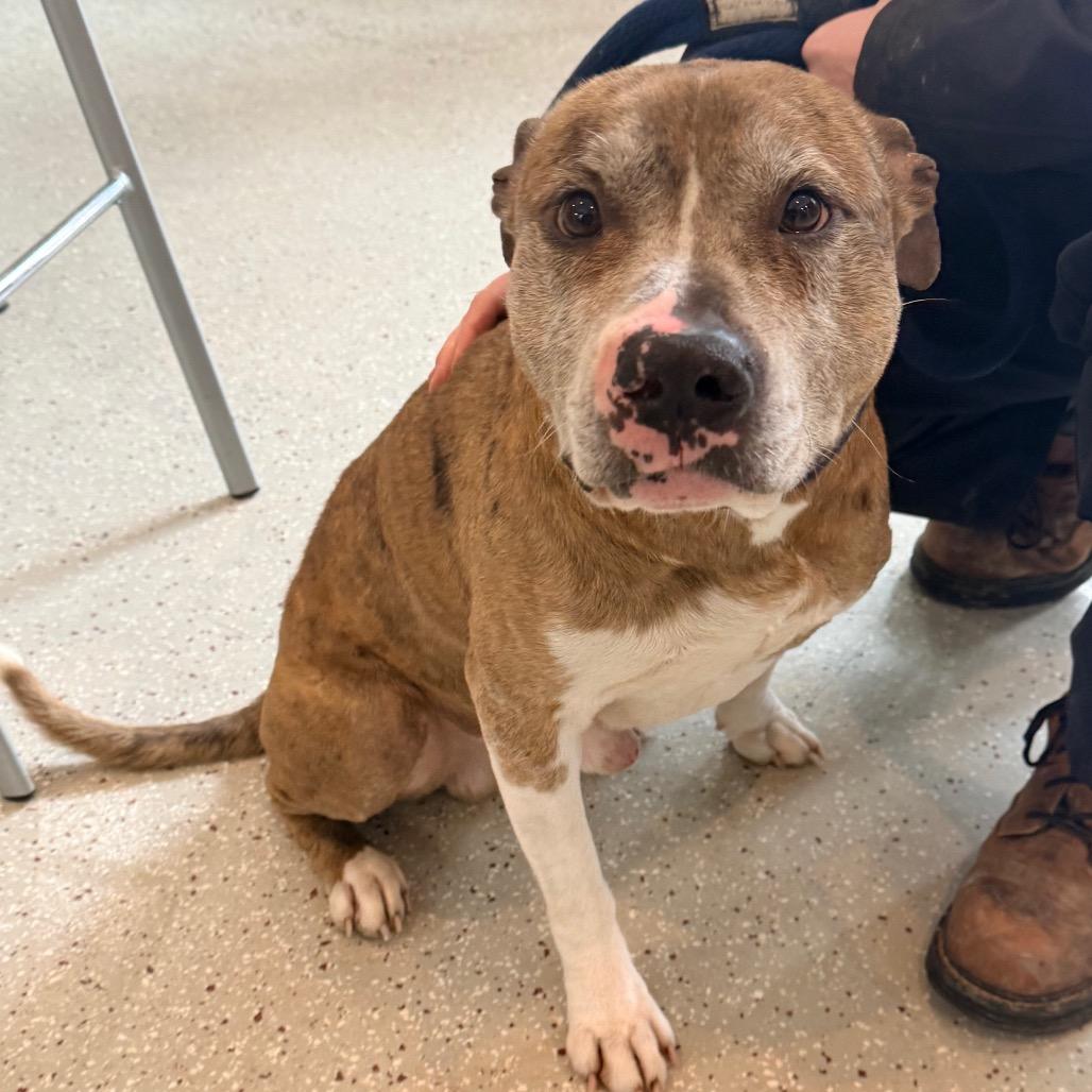 Big Mac — thumbnail 3