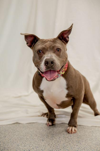 Mahala — thumbnail 3