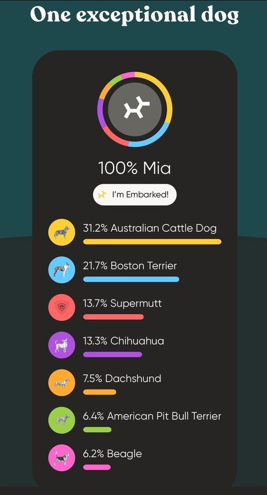 Enlarge Mia, a Adoptable mixed breed in Colorado Springs, CO image 5/6