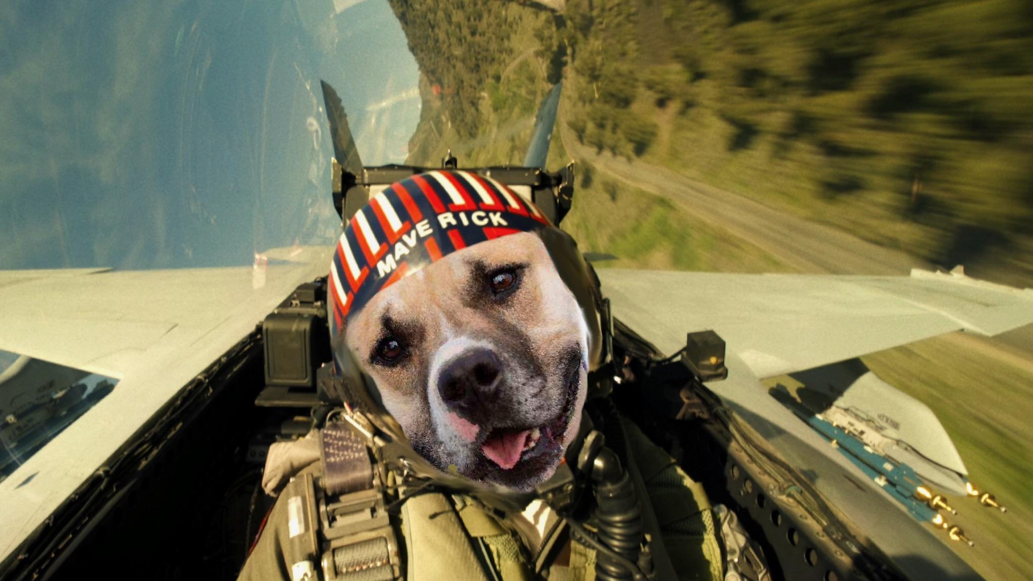 Maverick thumbnail 3