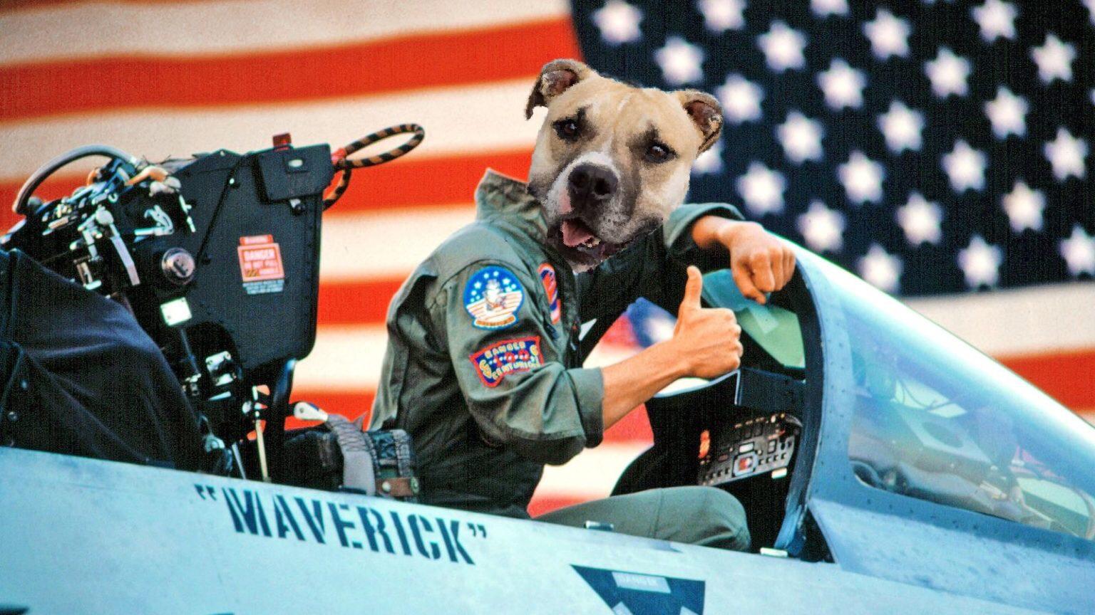 Maverick thumbnail 5