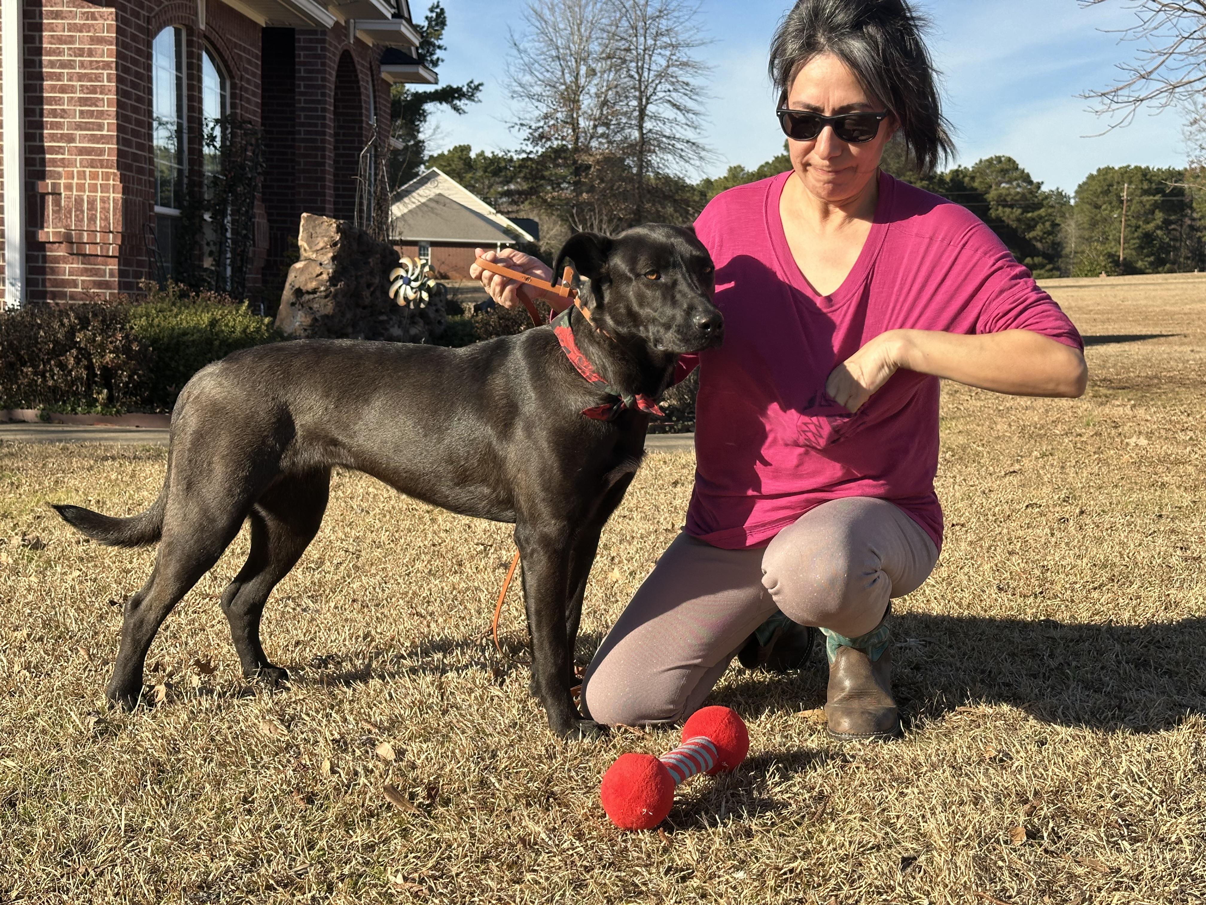 Enlarge Rose, a Adoptable mixed breed in Texarkana, TX image 3/5