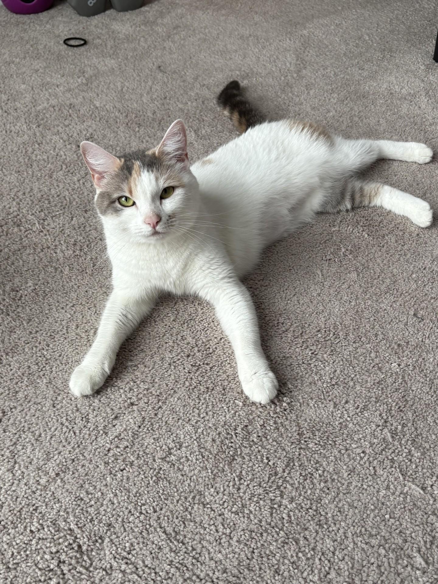 Peaches
