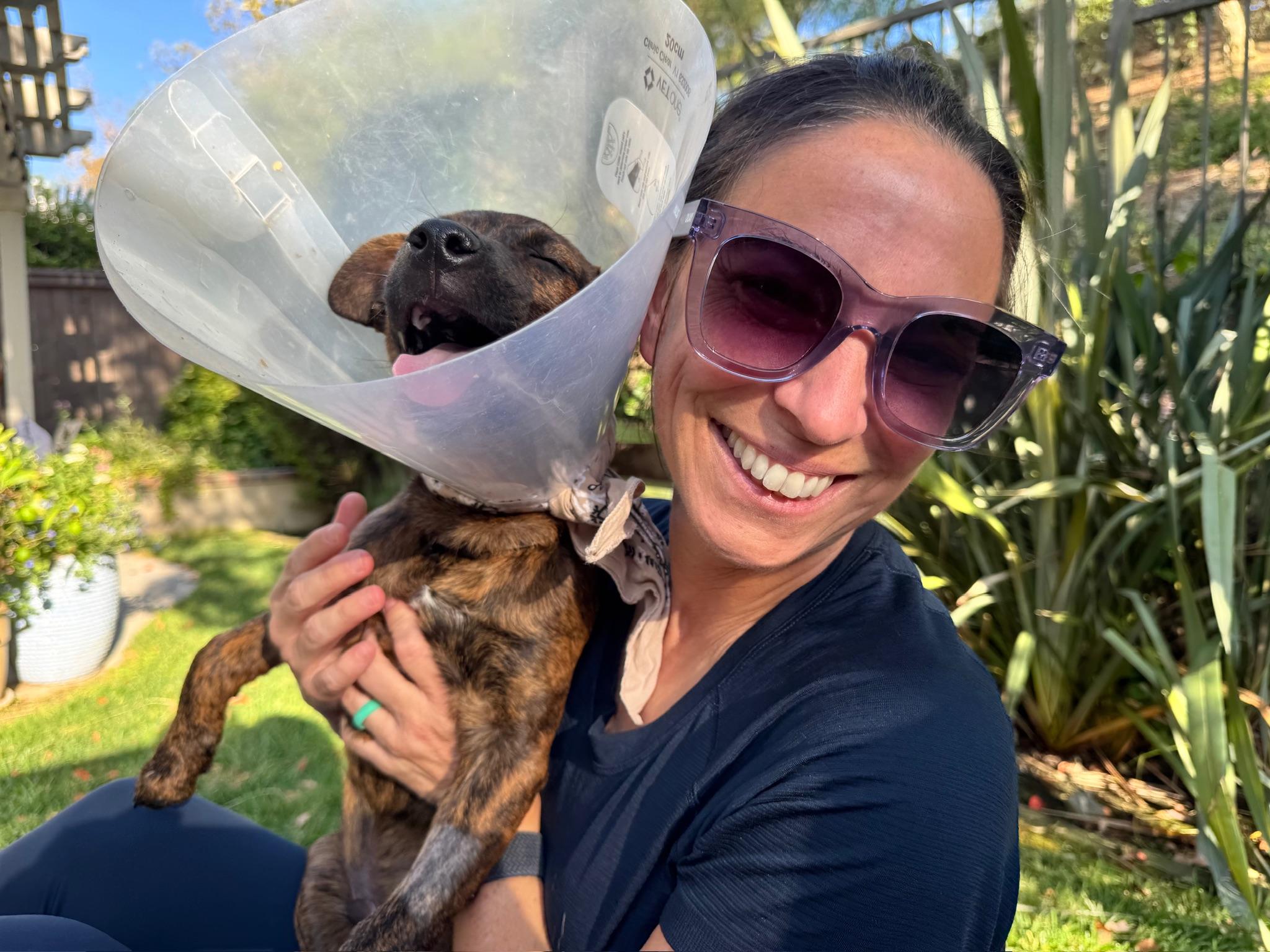Enlarge Chip, an adopted mixed breed in San Diego , CA image 6/6