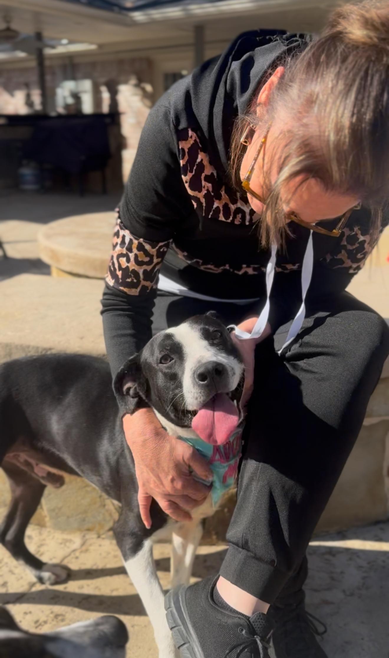 Enlarge Moonbeam, a ADOPTABLE mixed breed in Houston, TX image 4/6