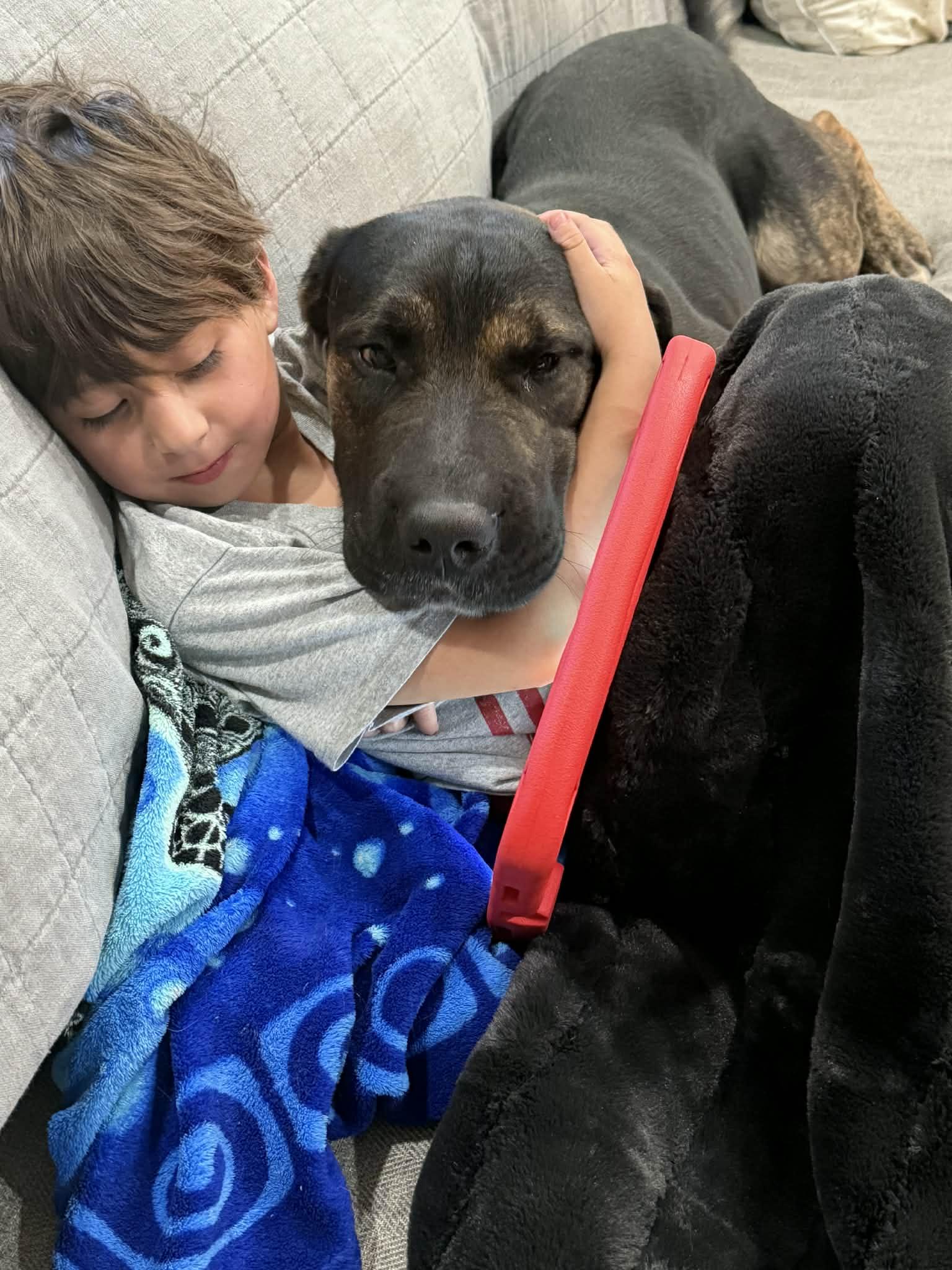 Enlarge Benito aka Puff, a Adoptable mixed breed in Bronson, TX image 3/3