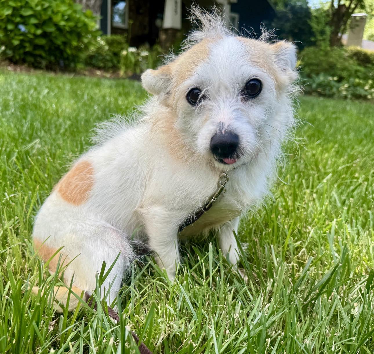 Maisie VIDEO photo 2