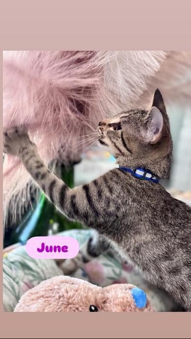 June