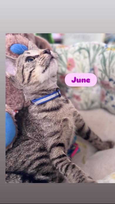 June