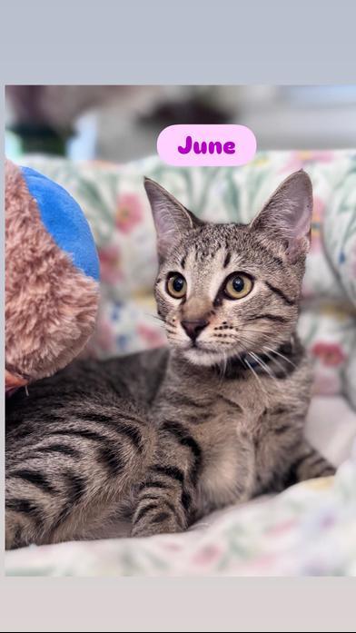 June