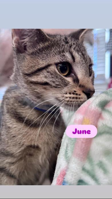 June
