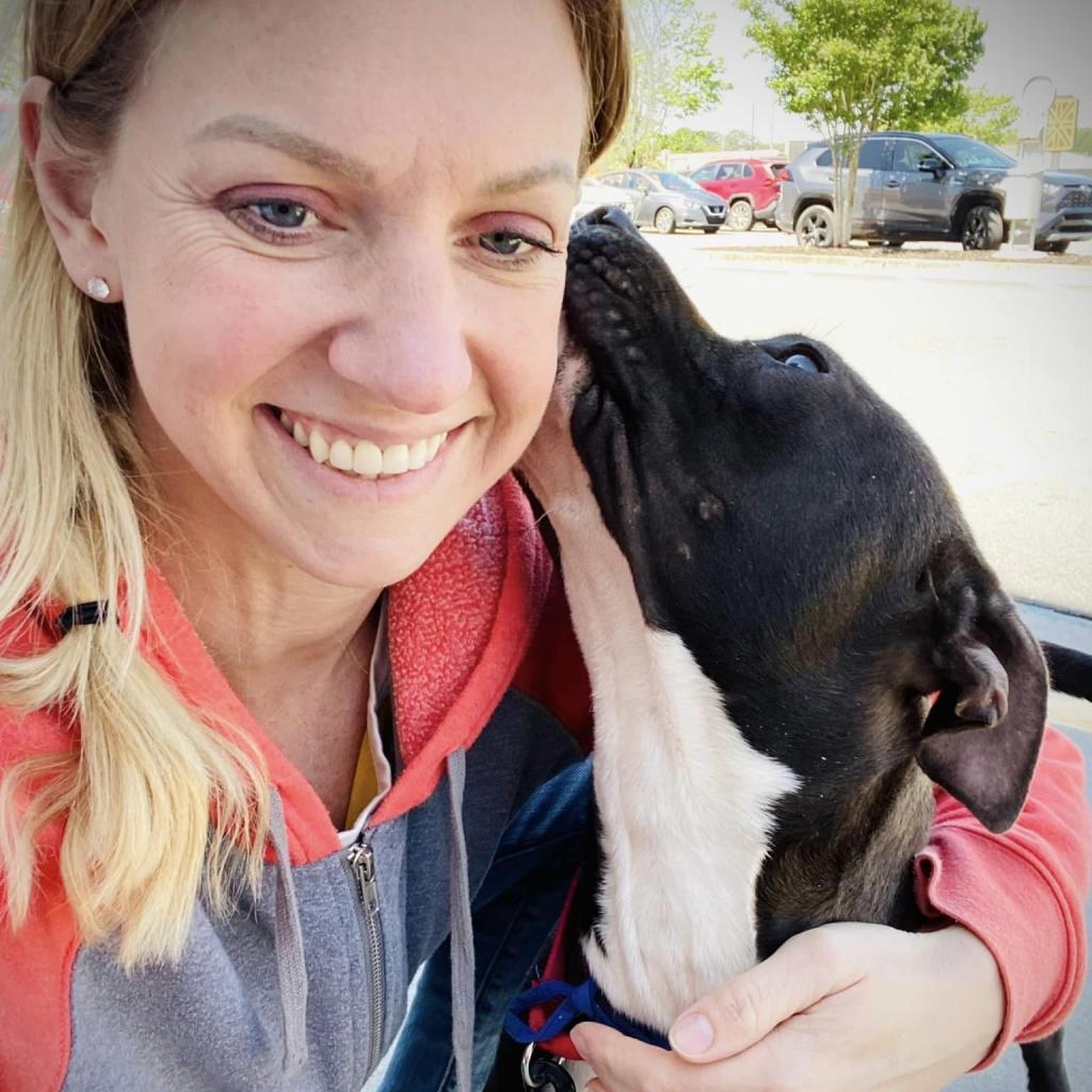 Enlarge Bungee, a Adoptable mixed breed in Gainesville, GA image 2/4