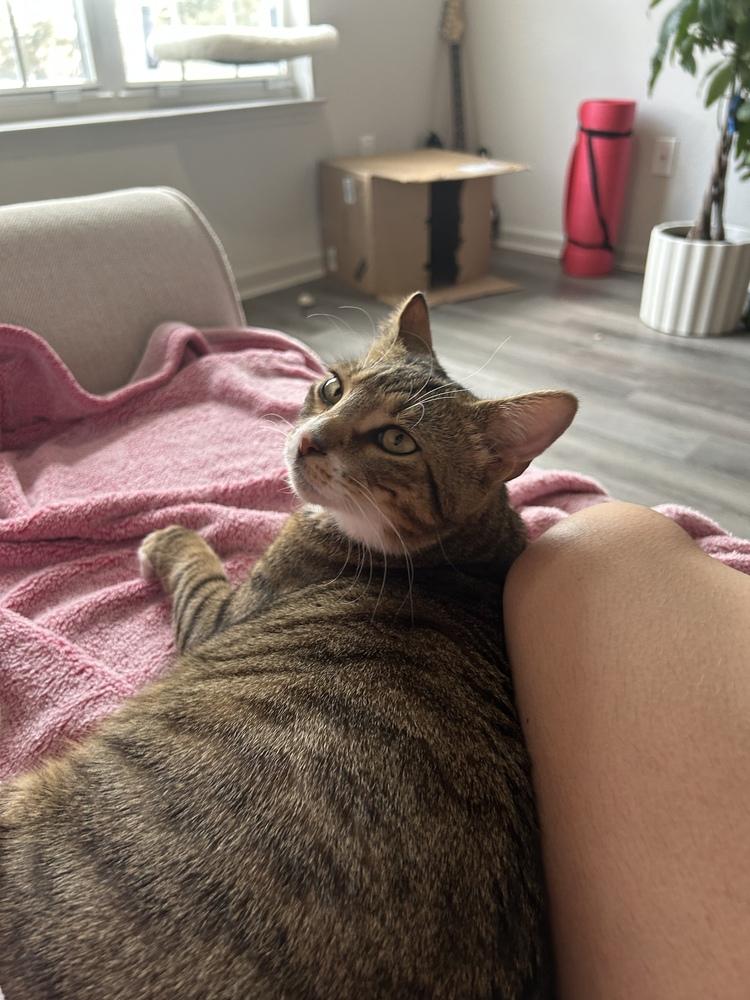 Chuckles — thumbnail 2