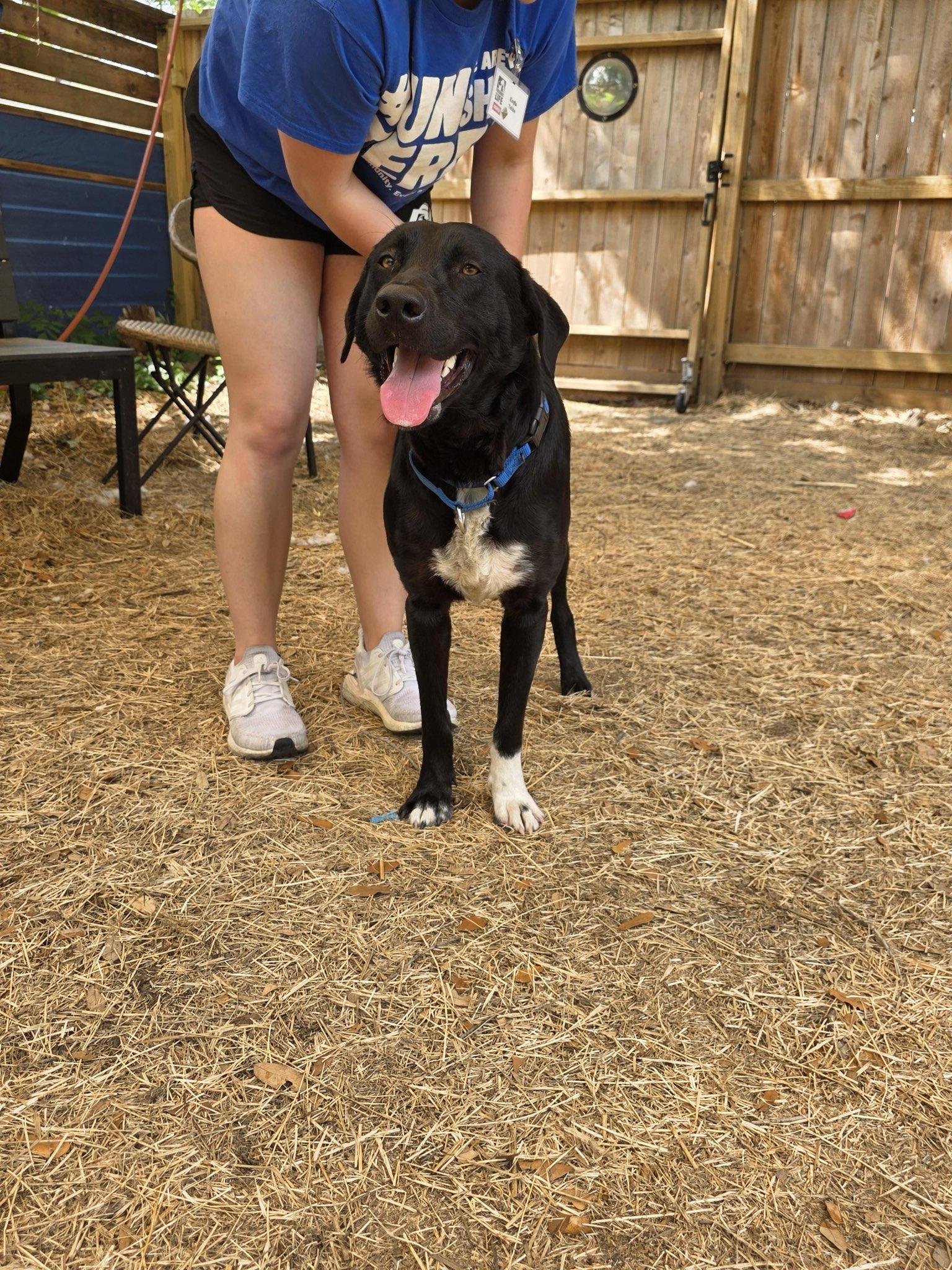 Ozzy Pawsborne thumbnail 3