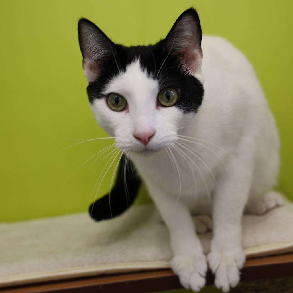 Reenie — thumbnail 4