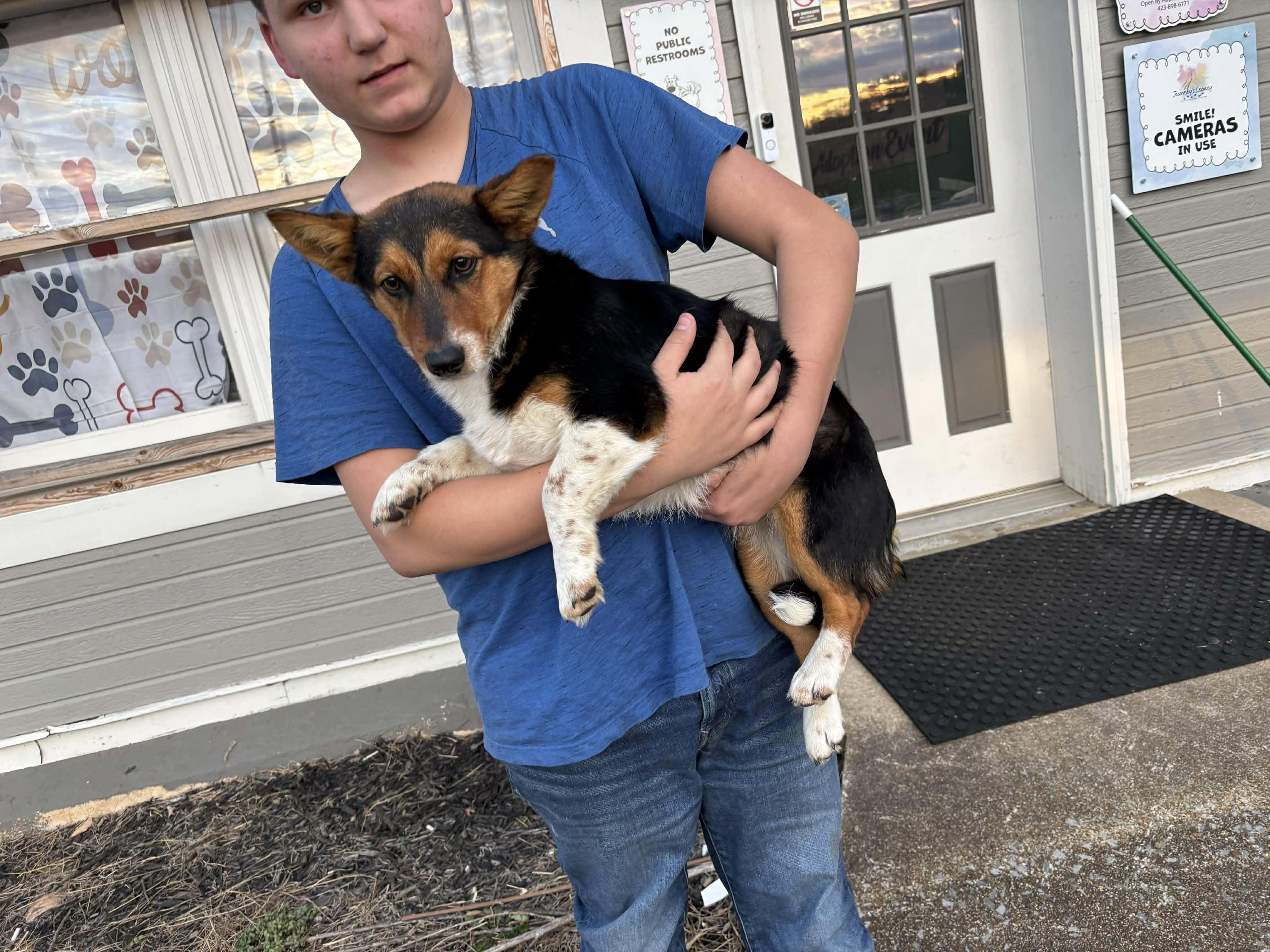 Porkchop thumbnail 2