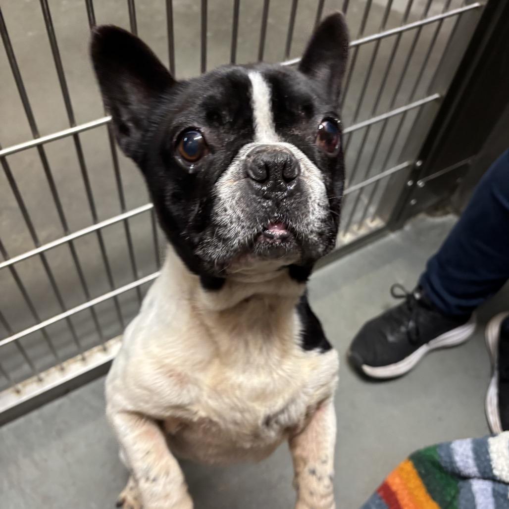 Free Willy — thumbnail 2